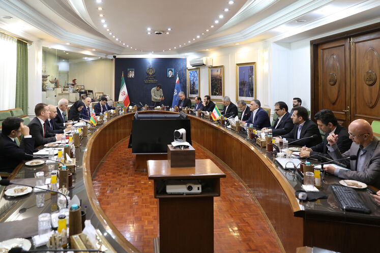 دیدار وزیر نفت با مقام عالی جمهوری آذربایجان